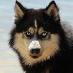 Crowdfunding für Gemeindeprojekte erfolgreich starten