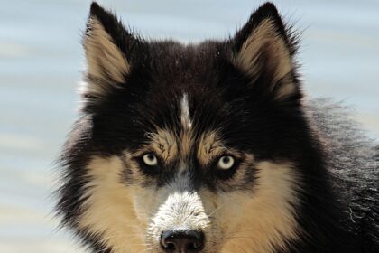 Crowdfunding für Gemeindeprojekte erfolgreich starten