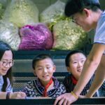 Freiwilligenarbeit mobilisieren für lokale Projekte