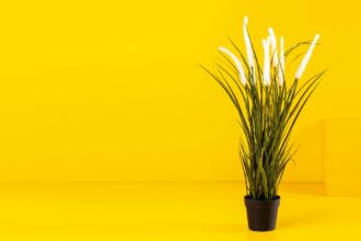 die Spender wirklich wollen, Crowdfunding Schweiz